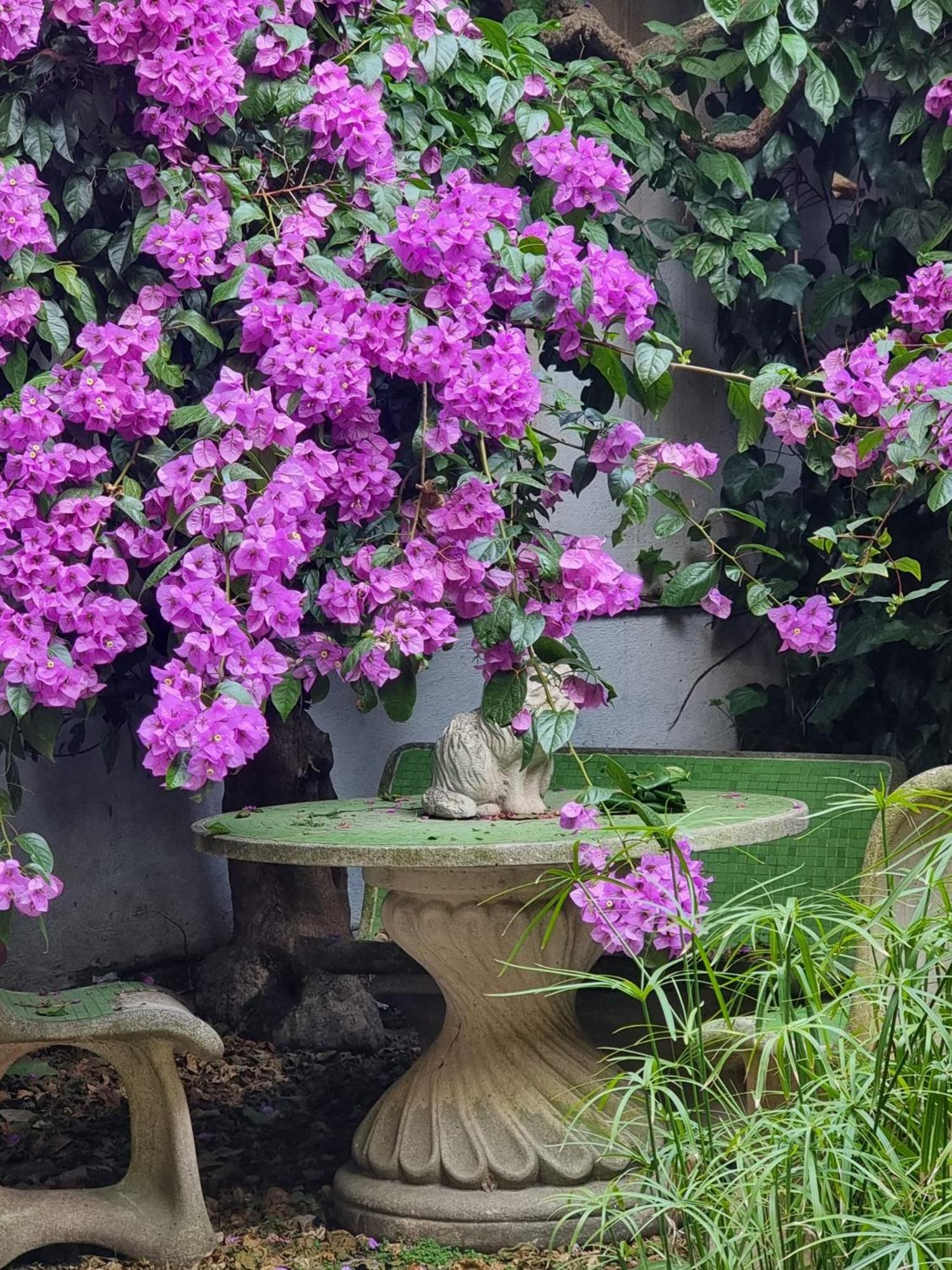 Vatican Fairytale Garden Roma Exterior foto